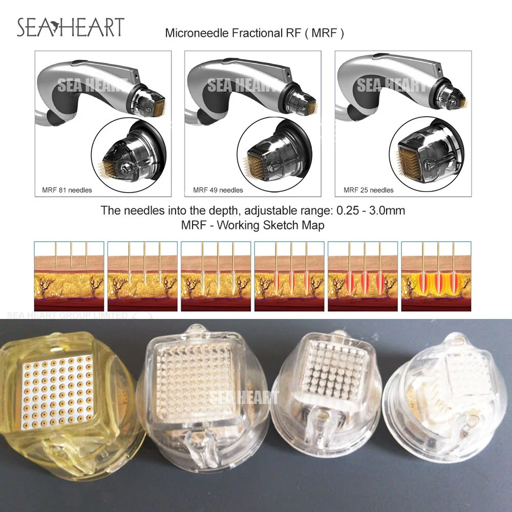 Professional sistema fraccional Microneedle RF para la piel par