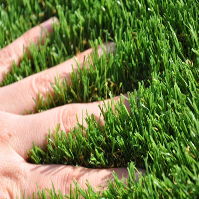 Senyue hohe Qualität und angemessener Preis Künstliche / Synthetische / Fake Rasen Gras für Fußball/Teppich/Fußballplatz/Blumen/Landschaft/Garten/Fitnessbereich