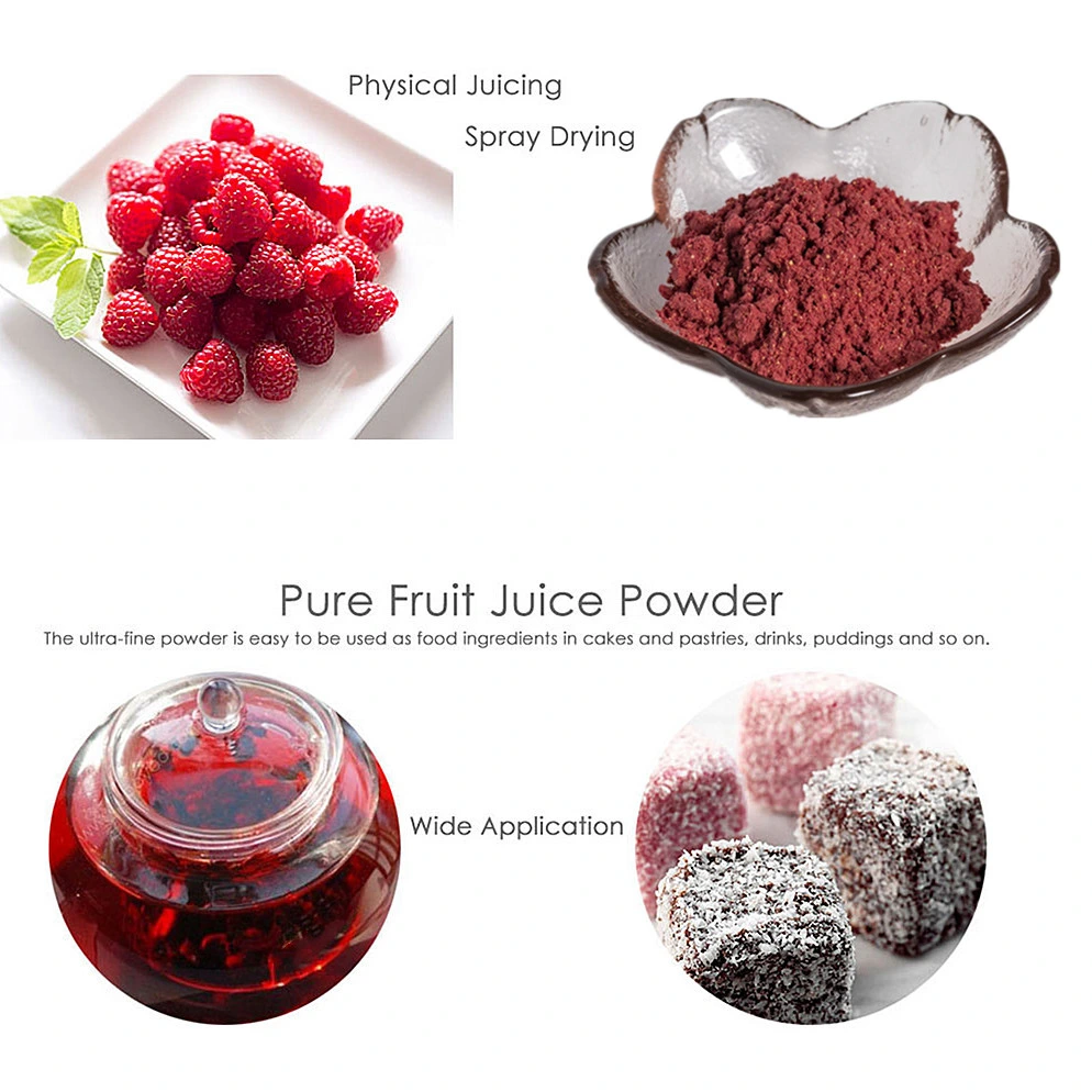 100% Natural Food and Beverage Organic Fruit Extract Freeze Dried Raspberry Powder