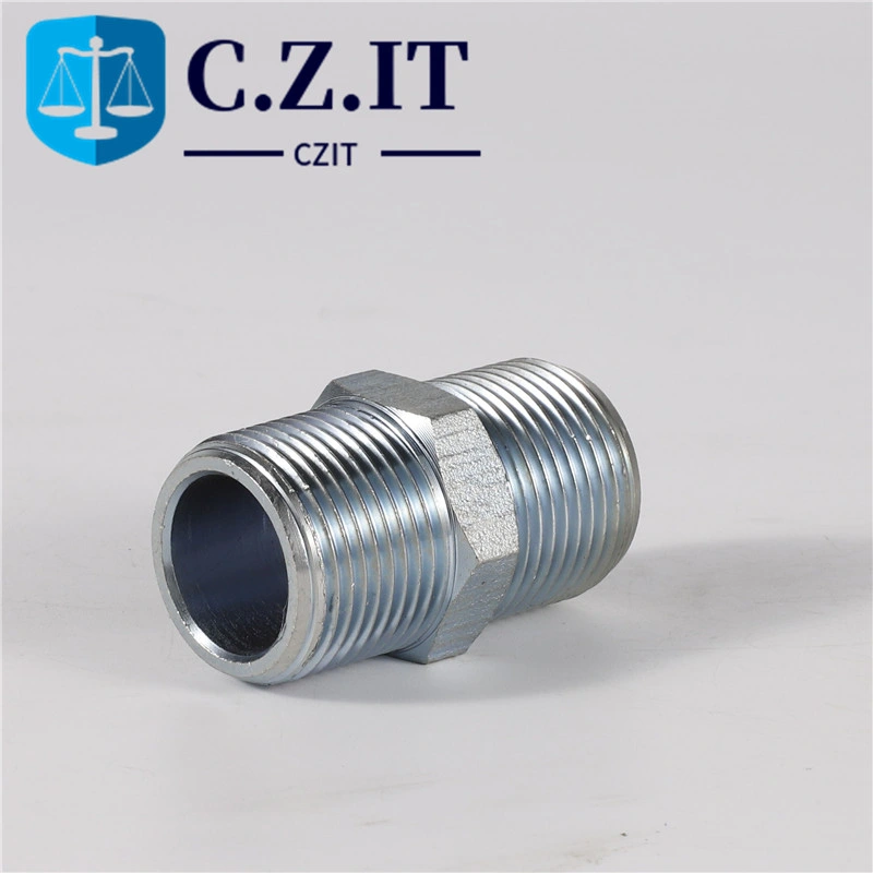 DN25 DN50 DN20 A105 304 316 NPT Galvanized Forged Tbe Hex/Hexagonal Threaded/Thread Forged BS 3799 Reducing Black Carbon Stainless Steel Nipple