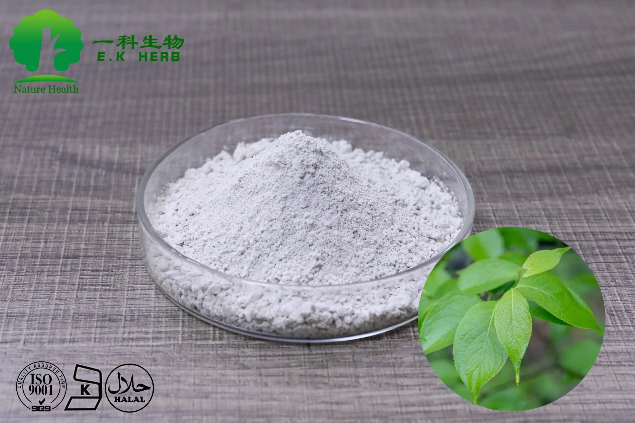 ISO Halal Kosher Honeysuckle Flower Eucommia Ulmoides Extract 5%-98% Chlorogenic Acid Powder