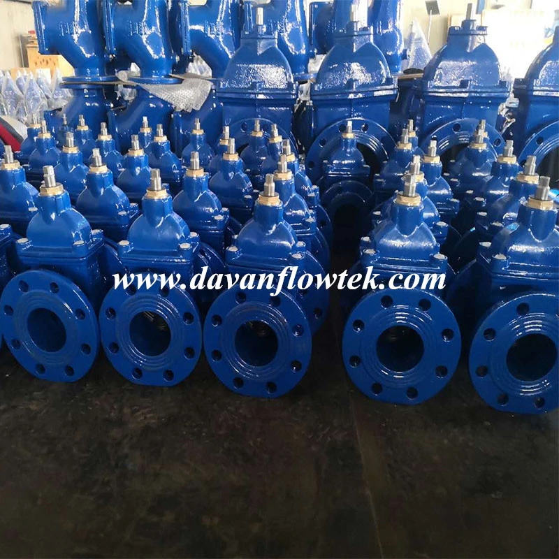 Ductile Iron Ggg40 Flanged Rubber Wedge Non-Rising Stem Water Gate Valve