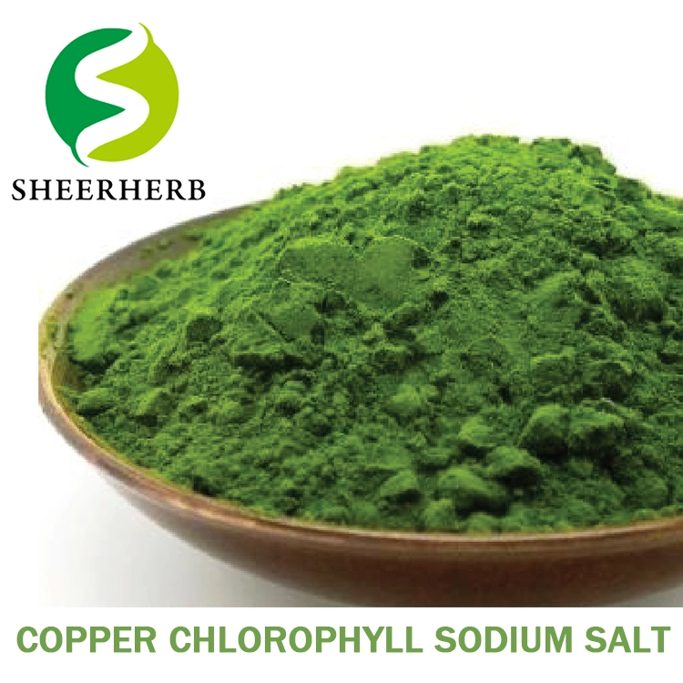 Chlorophyllin Chlorophyll 95% 100% Sodium Copper Chlorophyllin Sodium Magnesium