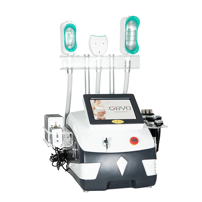 FDA Cryolipolysis Slimming Cryolipolysis EMS Vacuum Machine