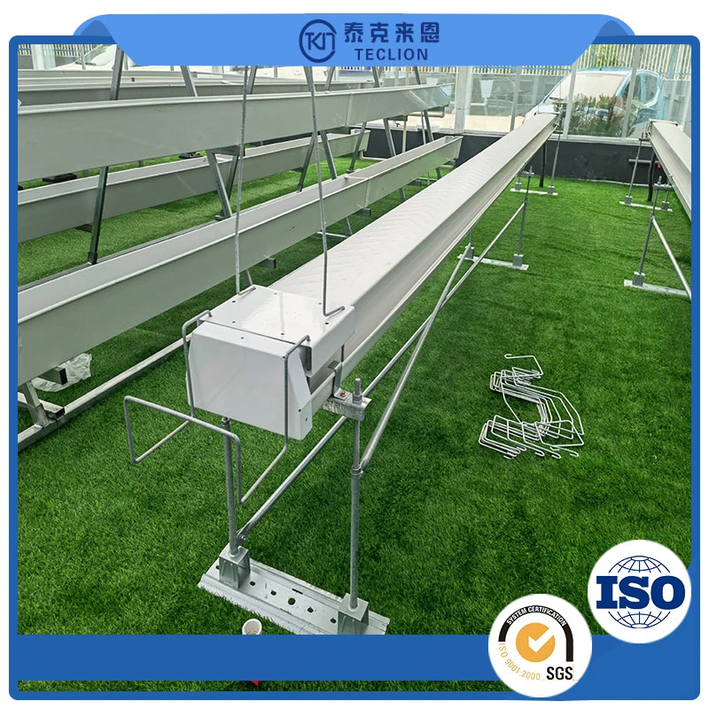 Agricultural Greenhouse Quality Assurance Planting Vegetables Nft Ditch Hydroponics PVC Channel Hydroponics Planting System