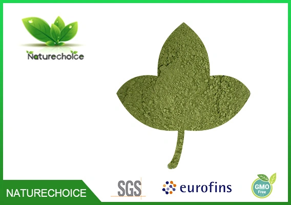Moringa Leaf Powder Chines E Herb Plant Extract Factory