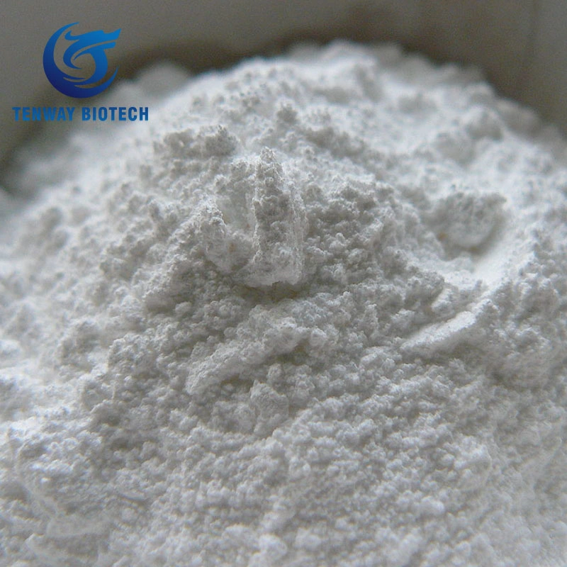 Bulk Sale at Low Price Food Preservative E211 Sodium Benzoate Powder for Bevarage at Low Price