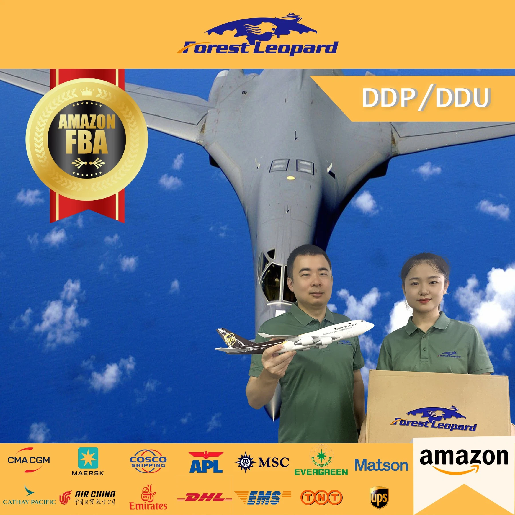 China Top 10 International Logistics Professional Freight Forwarder Shipping Service From China to USA/UK/Ca/EU DDP