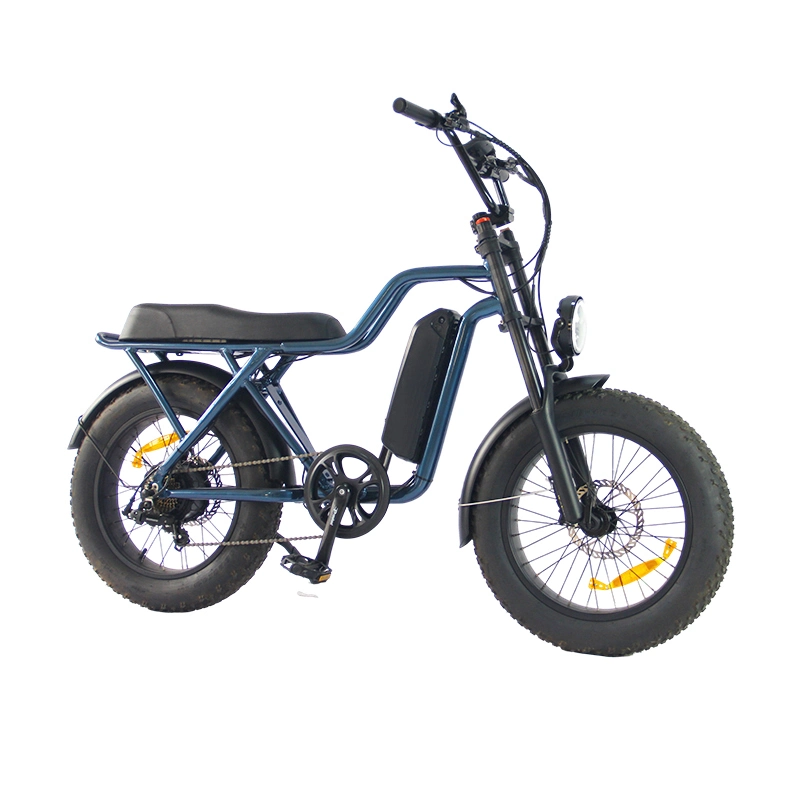 Meilleure vente Ebike 48V 500W vélo électrique 10Ah pour les adultes de vélo de montagne