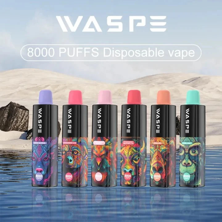 Waspe Maxi 8000puffs Nicotine Disposable/Chargeable Vape Pen 16ml E-Liquid Wholesale/Supplier