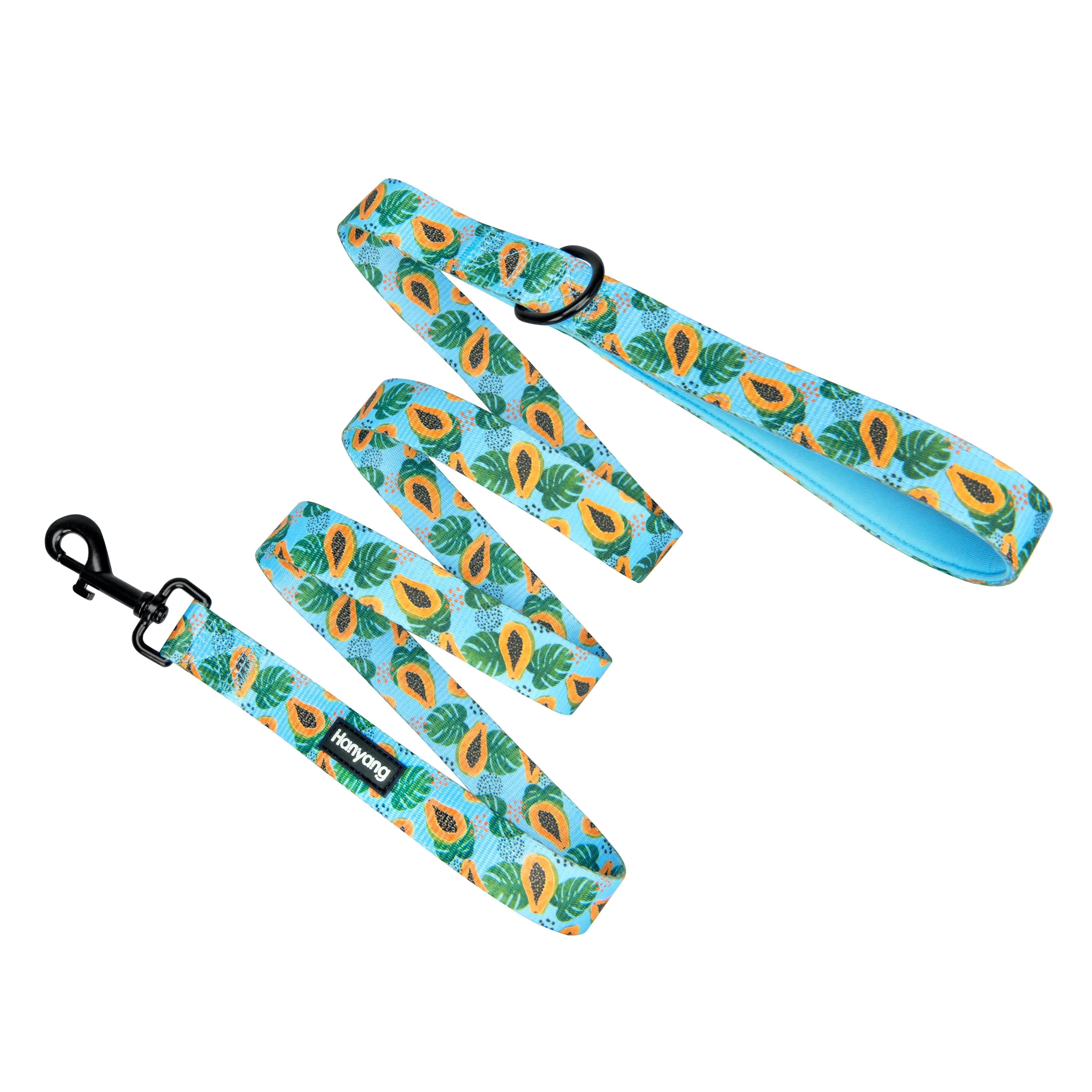 Hanyang New Release OEM Factory Durable Dog Leash Dog Accessories