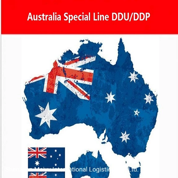 Economy Air/Sea Transport Shipping to Australia DDU /DDP Shipping Best Logistics Company