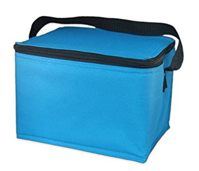 Factory Supply Recycling Silk Screen Resuable Non-Woven Ice Cream Fish Cooler Picnic Bag