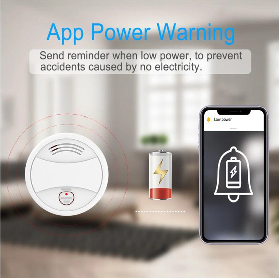 on The Stock WiFi Tuya Smoke Alarm Gas Detector