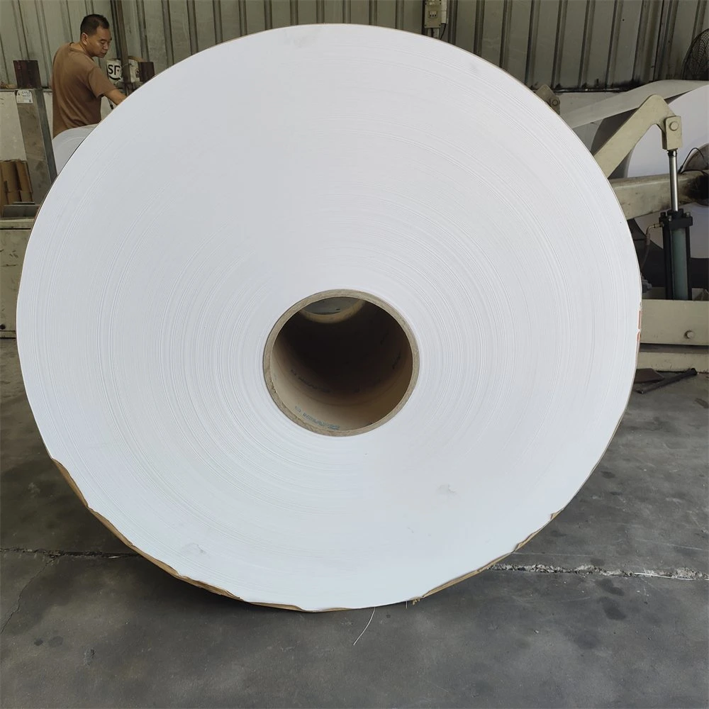 Asia Pulp and Paper APP C1s Ivory Board Ningbo Fold