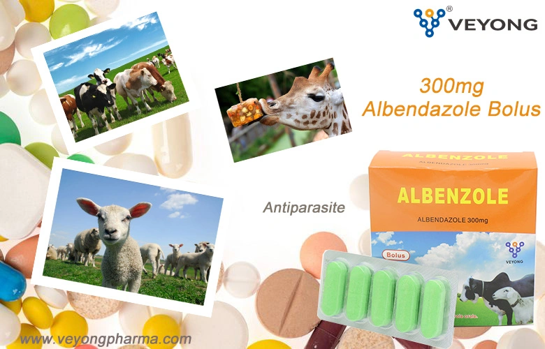 El mejor precio ingrediente veterinaria Albendazole Albendazole suspensión oral de la materia prima del 2,5% de la solución