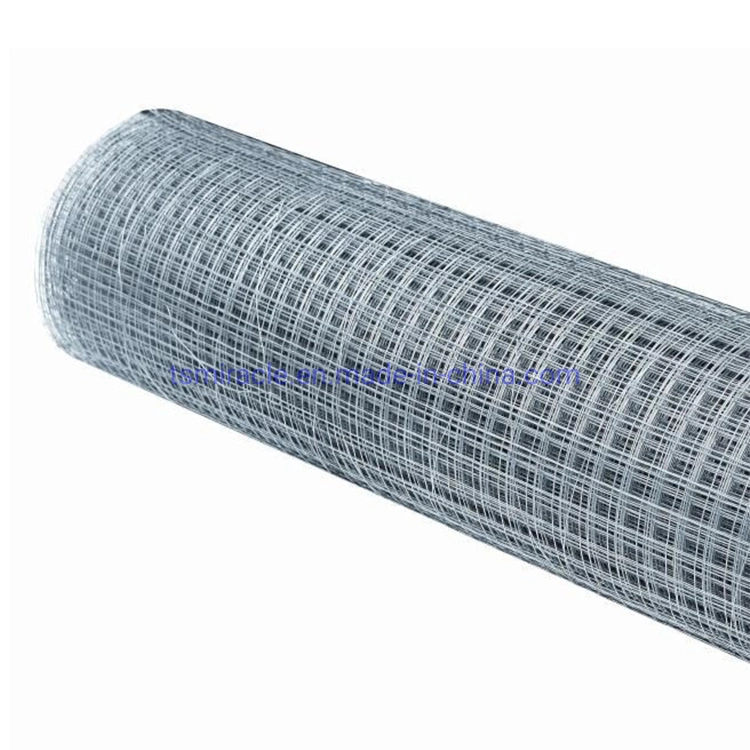 High quality/High cost performance Galvanized Welded Wire Mesh in Roll Used for Bird Cages/Garden Fence