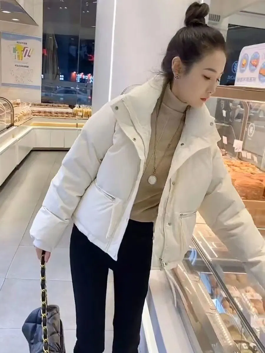 Gola subida de outono e inverno com Jacke para baixo quente Vestuário de Inverno