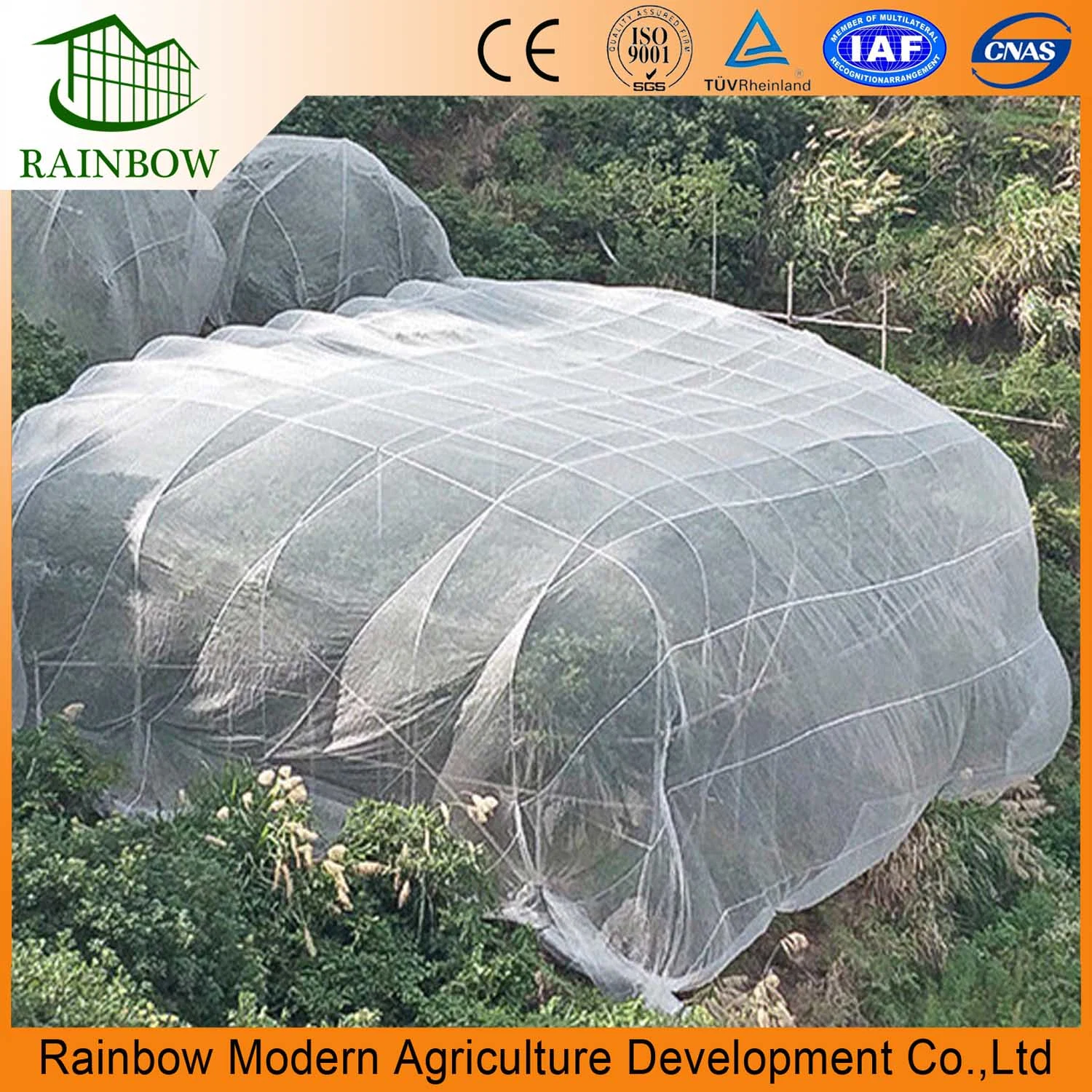 Agricultural Insect Net for Greenhouse