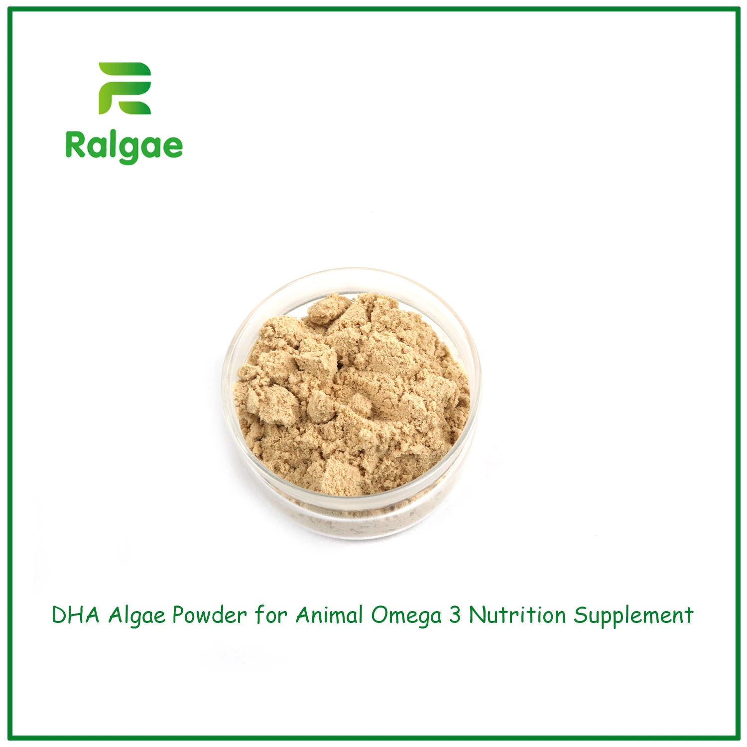 Natural Schizochytrium DHA Algae Powder High DHA 18% for Animal Feed Additive