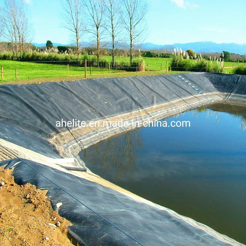 Impermeable HDPE Geomembrane for Fish Pond Liner