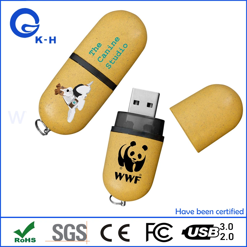 Ec-Friendly USB 2.0 Flash Memory Stick 64GB 128GB 256GB