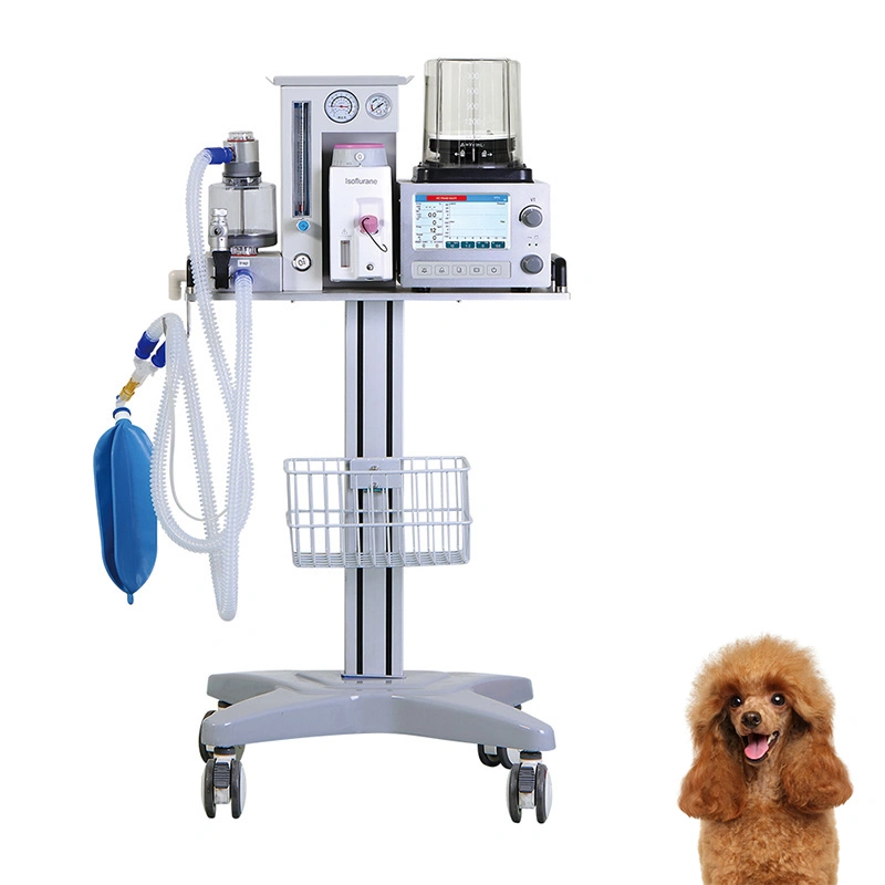 Dm6b Physical Therapy Equipment Clinical Analytical Instruments Other Ultrasonic Portable Anesthesia Machine Veterinary Clinic