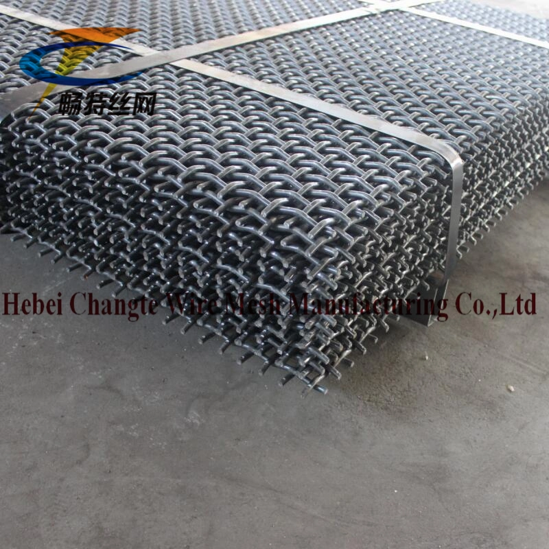 Professional Galvanized Wire Crimped Square Mesh