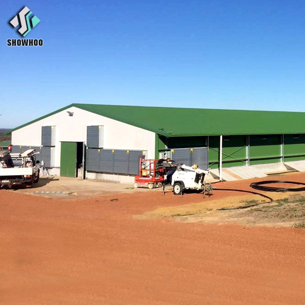 Casas de la cría de aves de corral pollo galpón Estructura de acero para incubar