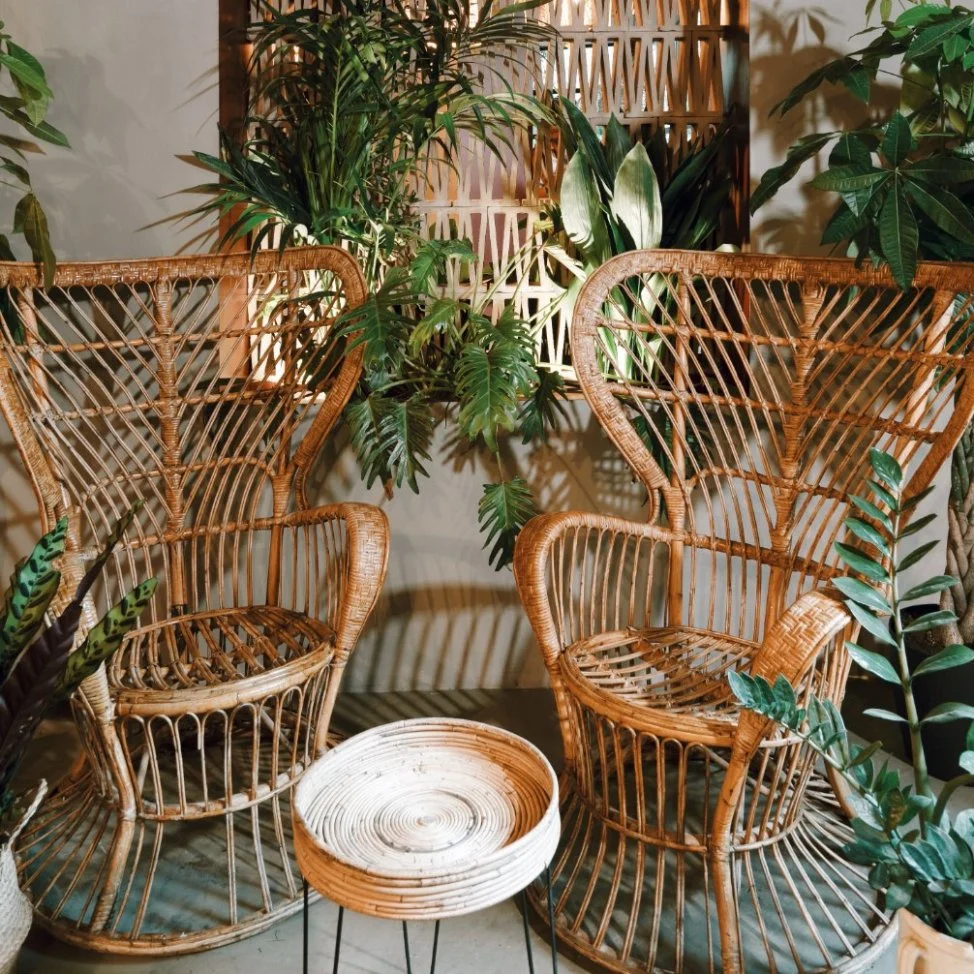 Restaurante de estilo de diseño de la naturaleza de ratán sillón de madera y muebles de la tabla de madera maciza