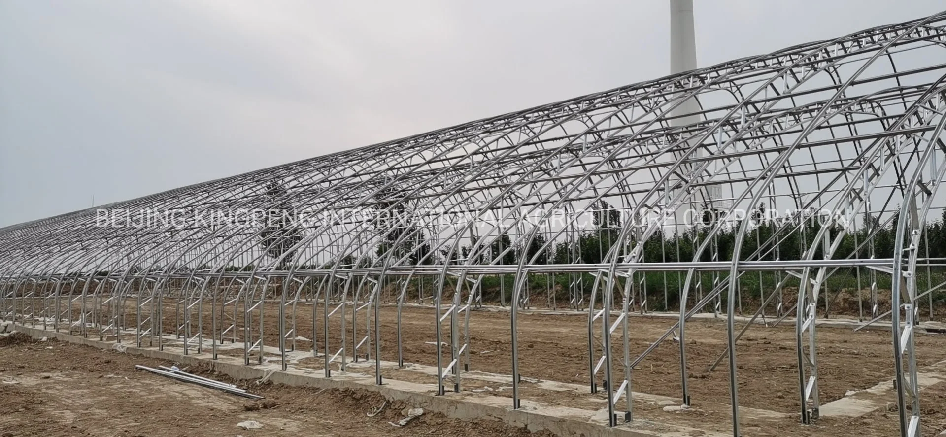 UV Plastic Film Greenhouse in Single Layer for Agriculture