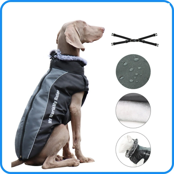 Factory Wholesale/Supplier Cheap Pet clothes Dog Apparel