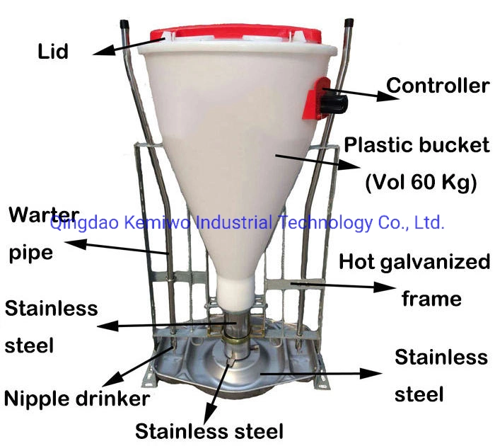 Sow Feeding System Equipment Low Price Best Selling Plastic Automatic Wet and Dry Pig Trough