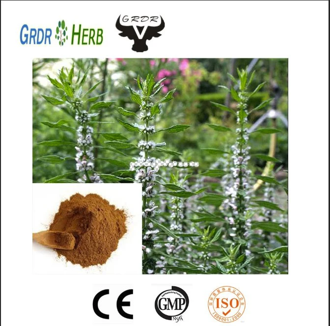 Chinese Hot Herbal Heart Tonic- Motherwort Extract-Diuretic-Cholesterol Regulation