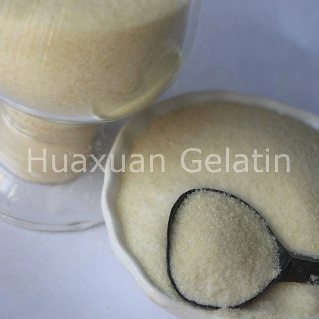 Edible Gelatin for Aerated Dessert