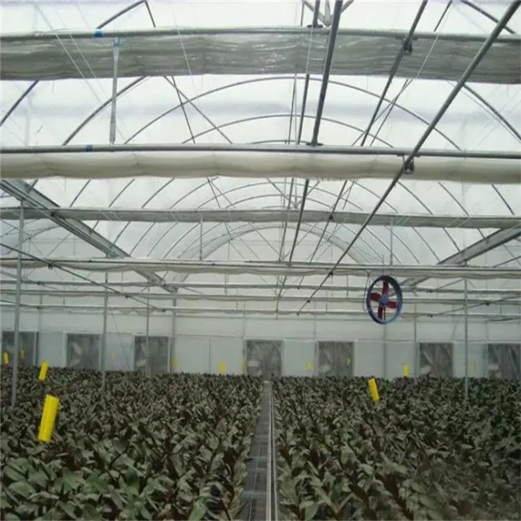 Nuevo Económico Muti-Span polytunnel plástico Cine Greenhouses Hydroponics System Tomato/pepino/Lechuga/Fresa/Flores/Verduras/Frutas Invernadero para la venta