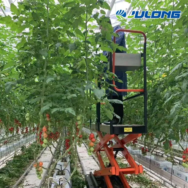 La poli de Gases de Efecto Túnel de la agricultura de la película de plástico fresas tomate vegetales agrícolas abarcan varios Green House en venta
