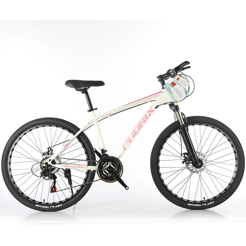 Mountainbike Herren Variable Speed Dirt Bike Teen Mittelschule Mädchen Road Racing Erwachsener