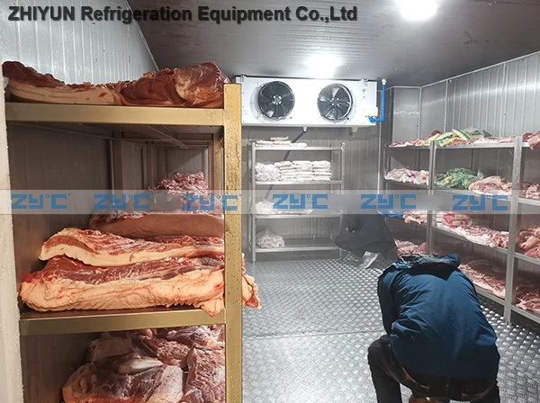 Cold Storage for Frozen Meat, Freezer Room, Chiller Cold Room