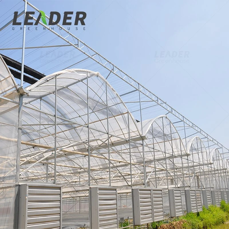 Low Cost Agricultural Smart Commercial Multi Span Glass Greenhouse for Sale