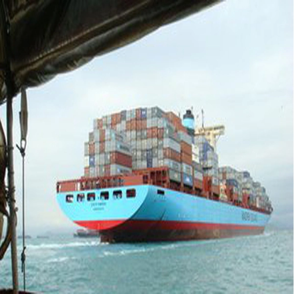 Competitive Sea Freight From Guangzhou to Santiago, Chile