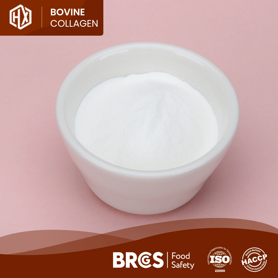 Haoxiang 100% piel de oveja pura Collagen polvo de pimienta China hidrolizada Piel bovina Fabricación de colágeno Listo para enviar péptidos de piel bovina Colágeno