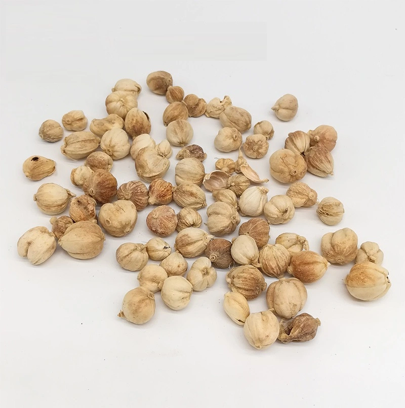 Chinese Spice Bai Dou Kou Dried White Cardamom for Seasoning