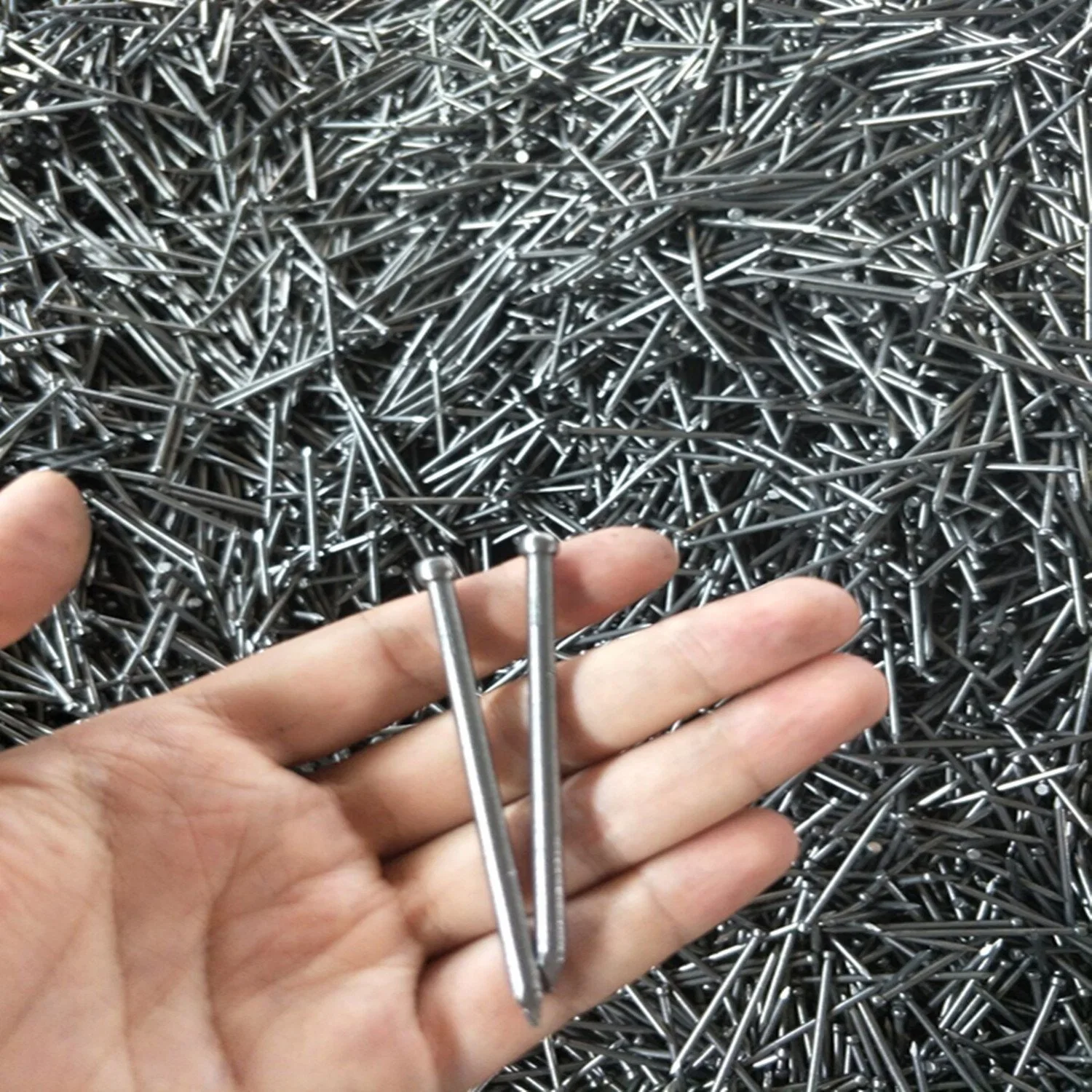 Good Quality Polished or Galvanized Jolthead Nail / Headless Nail / Finishing Nail / Furniture Nail From Tianjin Manufacturer 5''