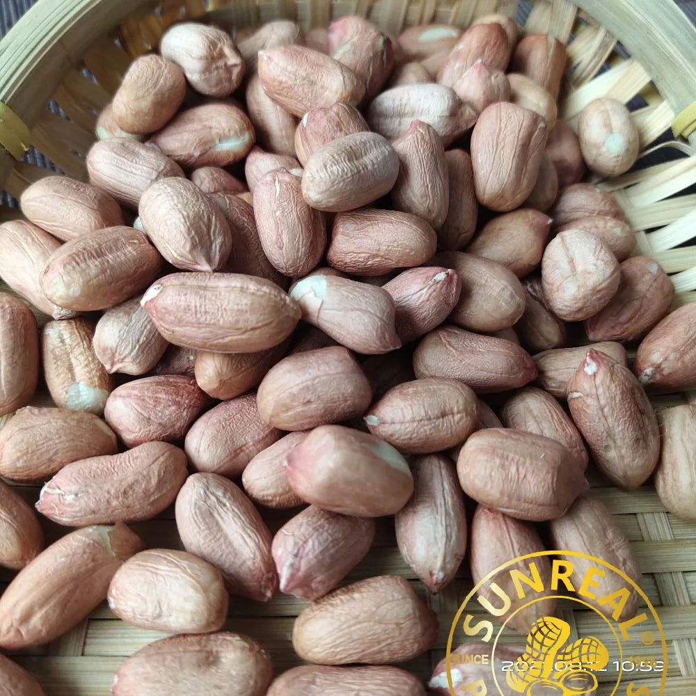 Raw Peanut Kernels/Virginia 24/28 الصين / كل التراخيص والشهادات الضرورية / علامة تجارية موثوق بها