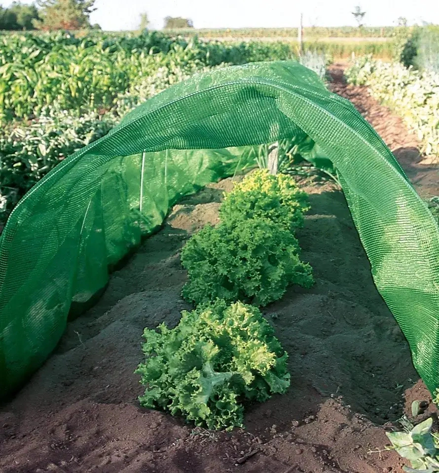 Middle East/South Africa Market Sun Shade Net Hot Sale