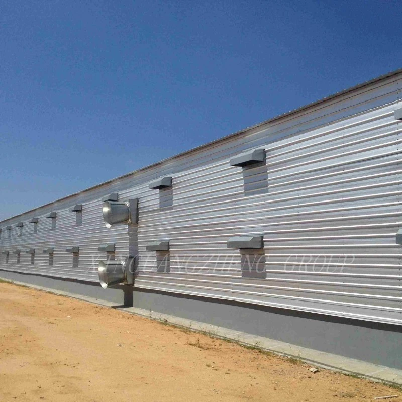 Steel Structure Poultry Farm House