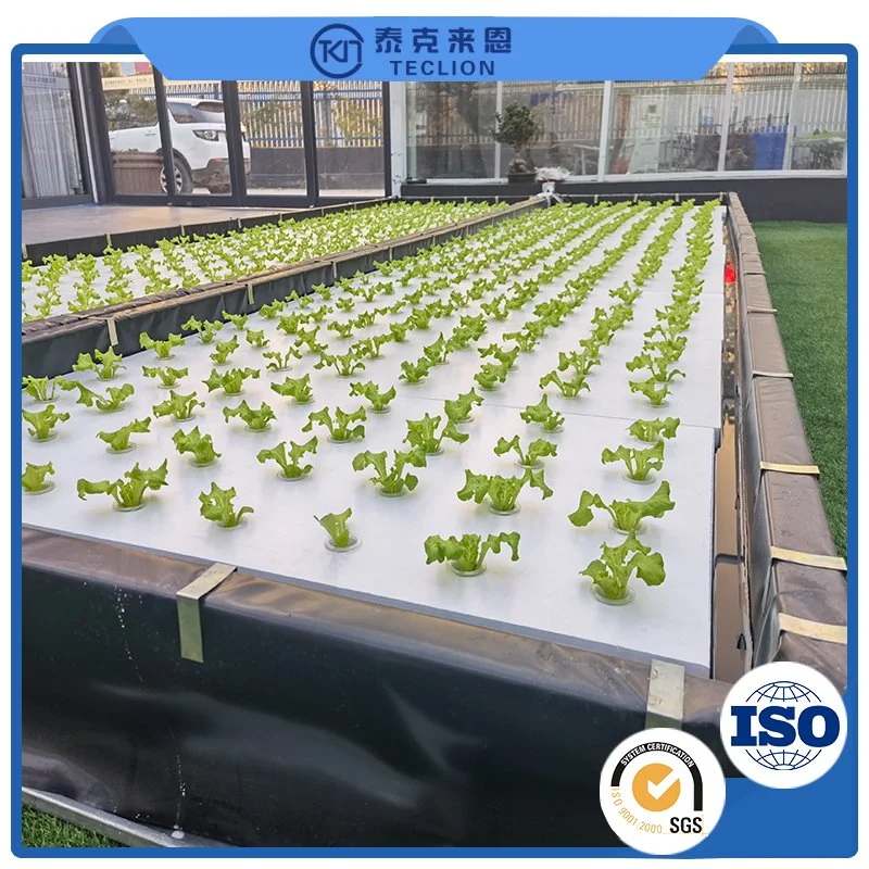 9600*720*2500mm Smart Water and Fertilizer Irrigation System Greenhouses Farm Container Medical Cultivation