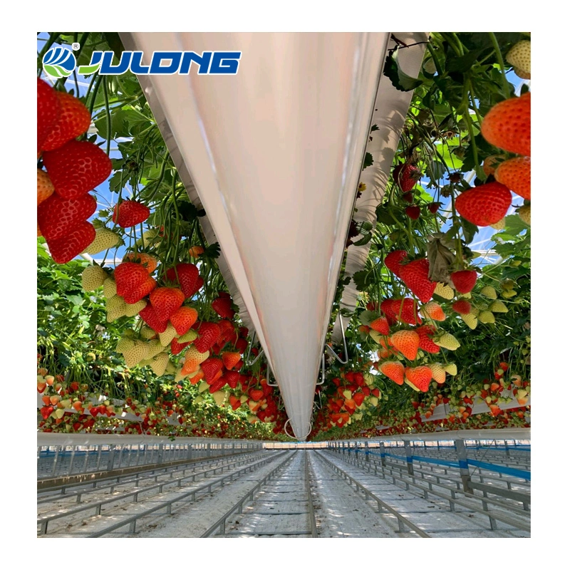 Solar Greenhouse China Suppliers Agricultural New Design Glass Greenhouse for Flowers Trees Seedlings