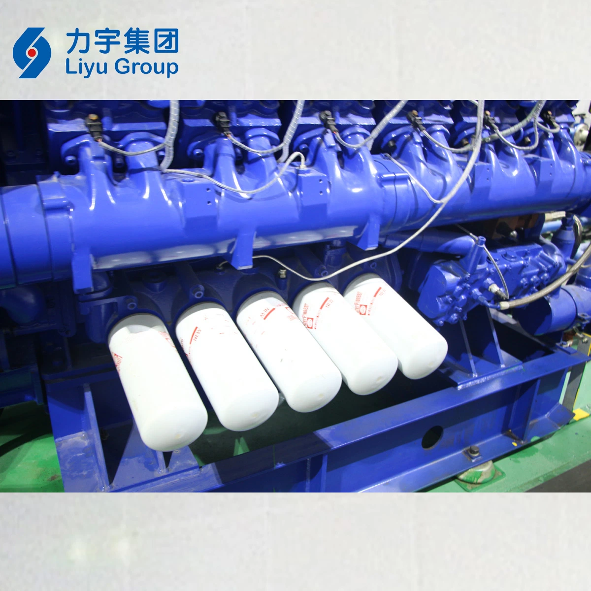 Liyu Gas Power 1MW/1000kw 12V Cylinder Low Voltage High Concentration Methane Gas Generating Set